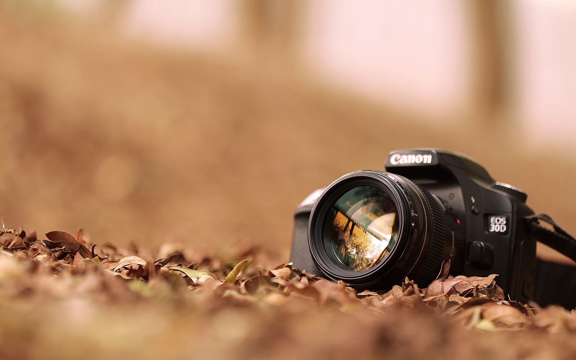 Photography / Videography